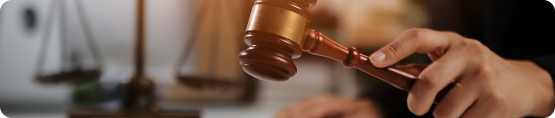 Báo cáo tình hình quản trị công ty năm 2024